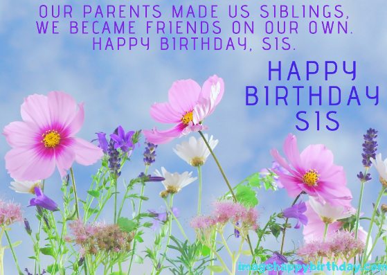 Wishing Sister on Special Day